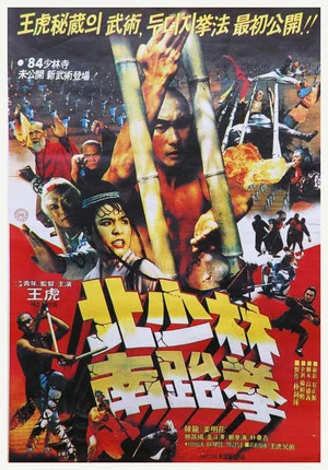 Постер: North Shaolin South Taekwon