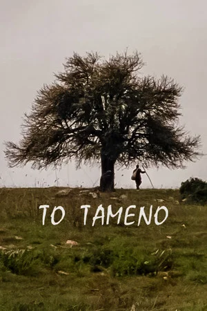 Постер: Offered Boy