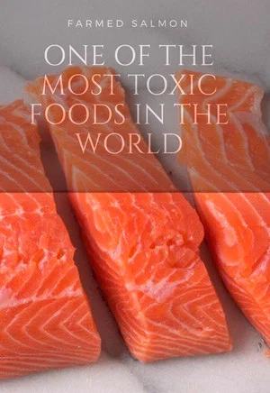Постер: Fish: Farming in Troubled Waters