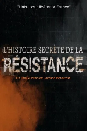 Постер: L'Histoire secrète de la Résistance