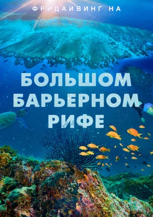 Постер: Фридайвинг на Большом Барьерном рифе