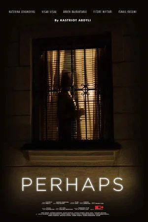Постер: Perhaps