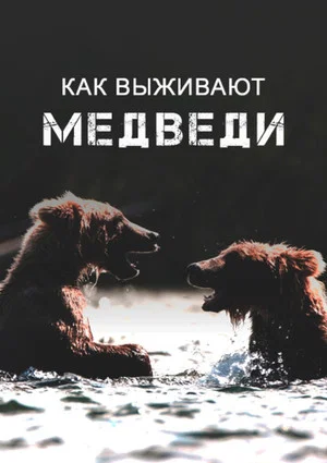 Постер: Как выживают медведи
