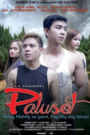 Постер: Palusot