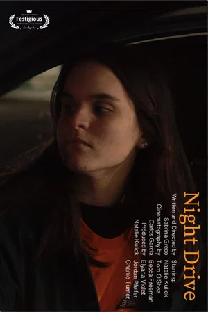 Постер: Night Drive