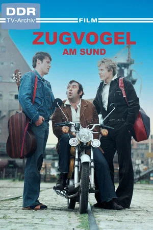 Постер: Zugvogel am Sund