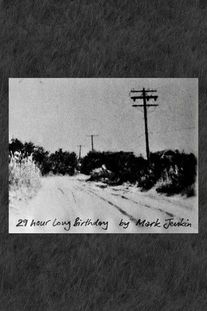 Постер: 29 Hour Long Birthday