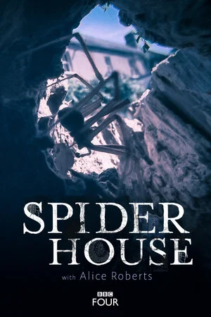 Постер: Spider House