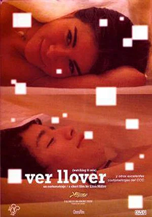 Постер: Watching it Rain