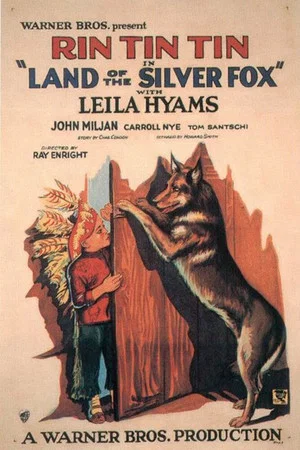 Постер: Land of the Silver Fox