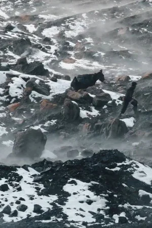 Постер: Afghan Coal