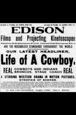 Постер: Life of a Cowboy