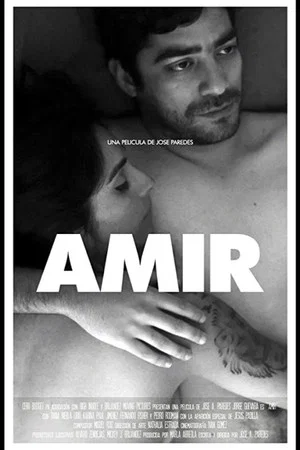Постер: Amir