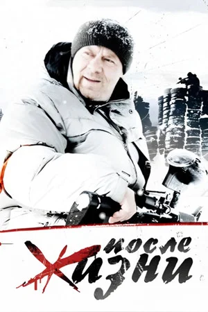 Постер: После жизни