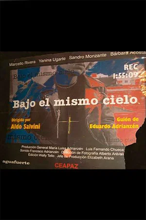 Постер: Bajo el mismo cielo