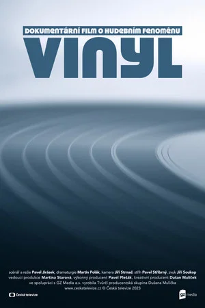 Постер: Vinyl
