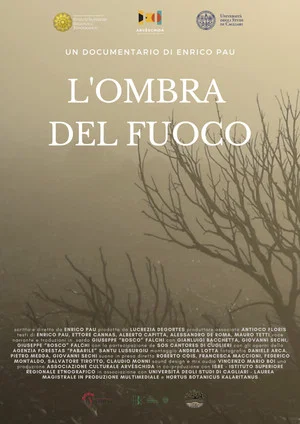 Постер: L'ombra del fuoco