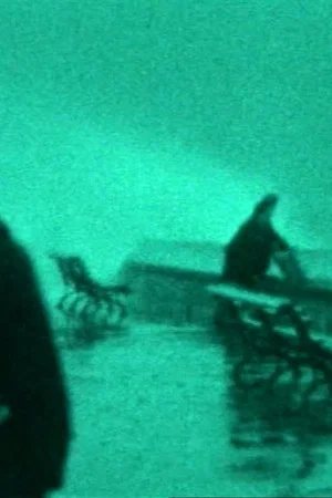 Постер: The Maelstrom: A Family Chronicle