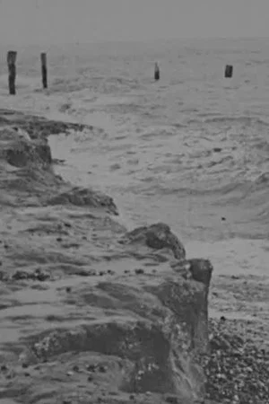 Постер: Incoming Tide