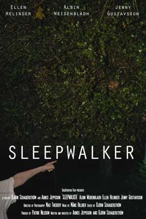 Постер: Sleepwalker