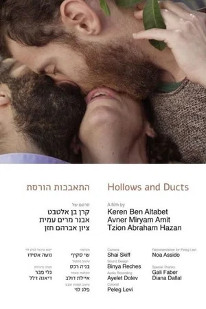 Постер: Hollows and Ducts