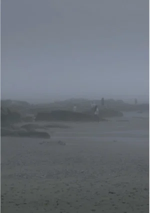 Постер: The Fog Has Covered The Moment Again