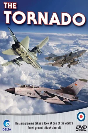 Постер: The Panavia Tornado