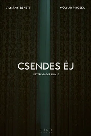Постер: Csendes éj