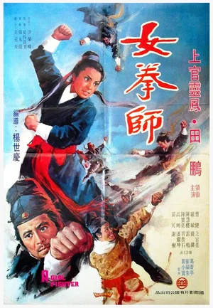 Постер: A Girl Fighter