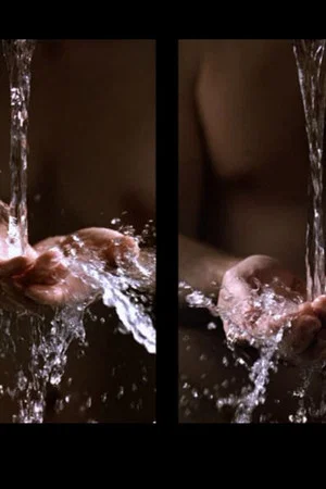 Постер: Ablutions