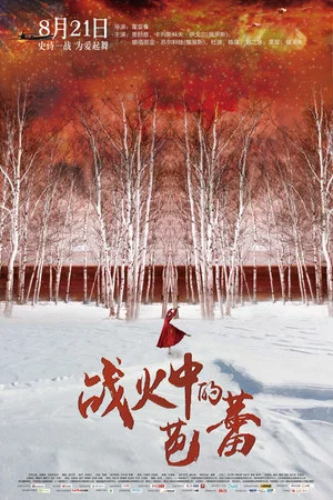 Постер: Ballet in the Flames of War