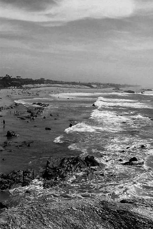 Постер: Miramar, Praia das Rosas