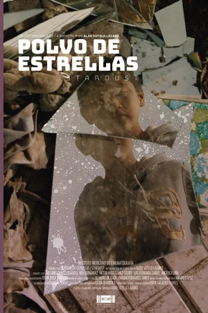 Постер: Stardust