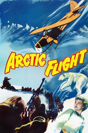 Постер: Arctic Flight