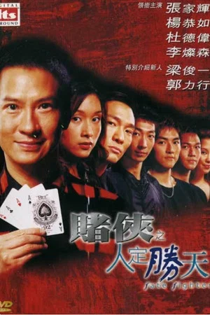 Постер: Fate Fighter