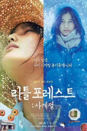 Постер: Little Forest: Four Seasons
