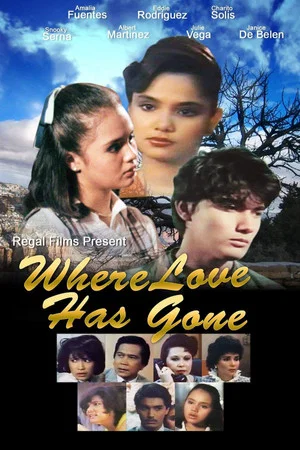 Постер: Where Love Has Gone