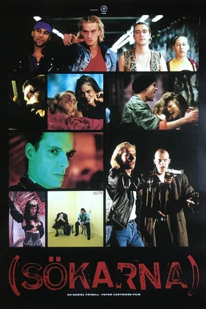 Постер: The Searchers