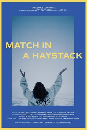 Постер: Match in a Haystack