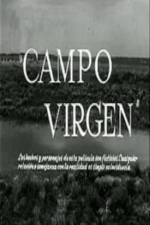 Постер: Virgin field