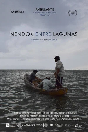 Постер: Nendok entre lagunas