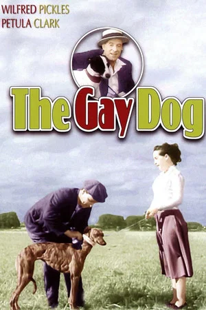 Постер: The Gay Dog
