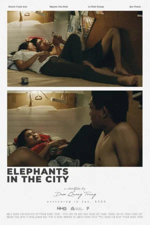 Постер: Elephants In The City