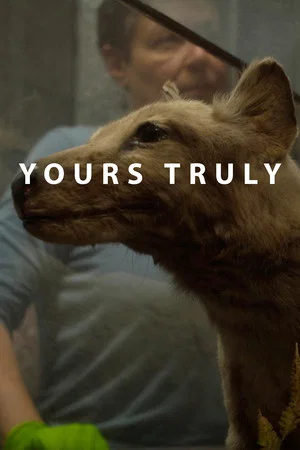 Постер: Yours Truly