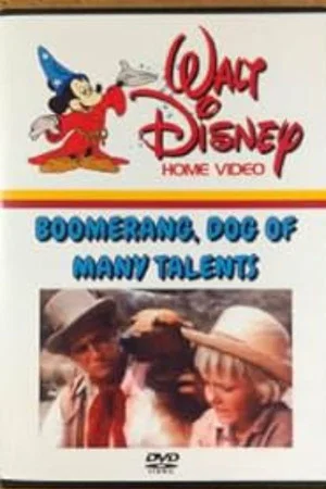 Постер: Boomerang, Dog of Many Talents