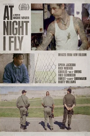 Постер: At Night I Fly