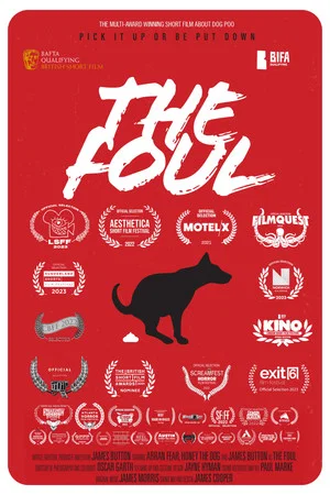 Постер: The Foul
