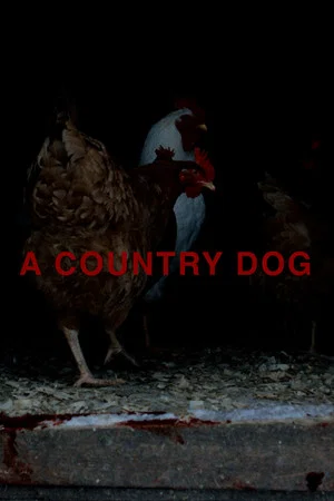 Постер: A Country Dog