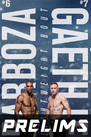 Постер: UFC on ESPN 2: Barboza vs Gaethje