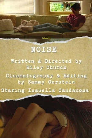Постер: Noise